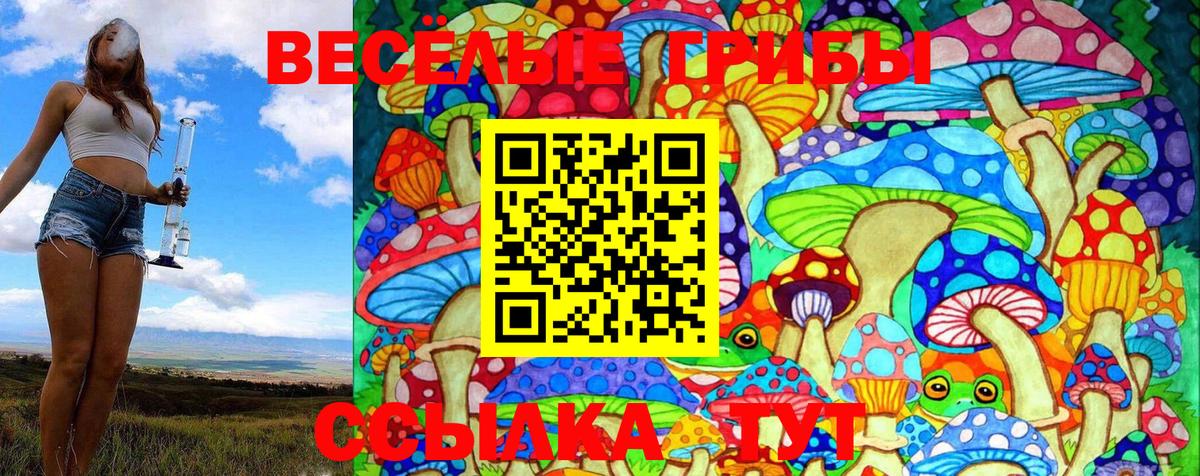 Тосно  Галлюциногенные грибы Psilocybe  цена наркотик  Вход с VPN 